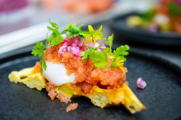 gourmet bedste køge restauranten restaurant spisested