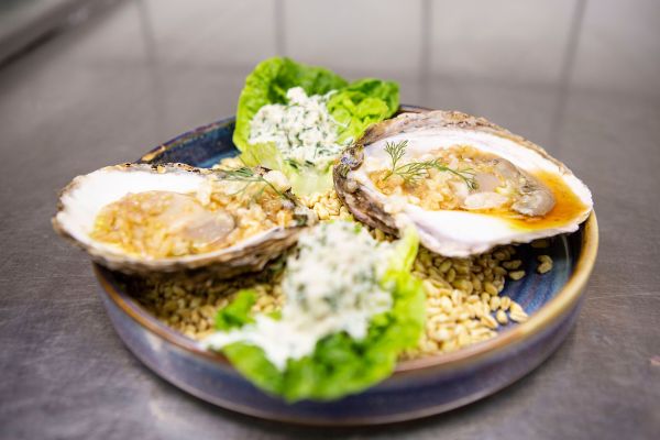 gourmet bedste køge restauranten restaurant spisested